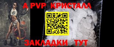 спиды Пугачёв