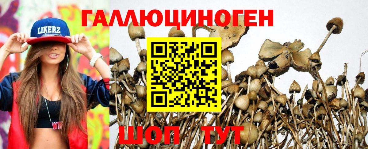 Галлюциногенные грибы мухоморы  Вход с VPN  Сертолово 